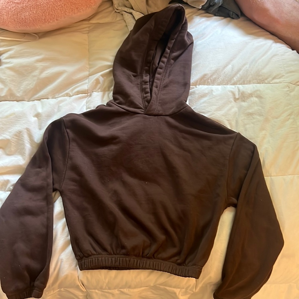 Cropped Zara Sweatshirt